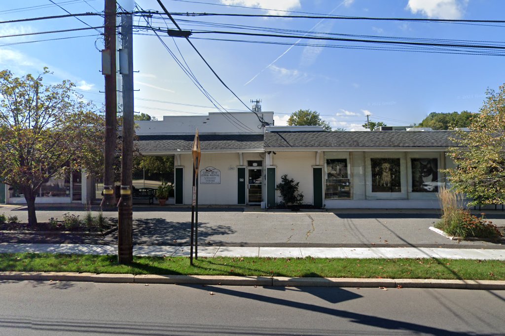Little Silver Animal Hospital