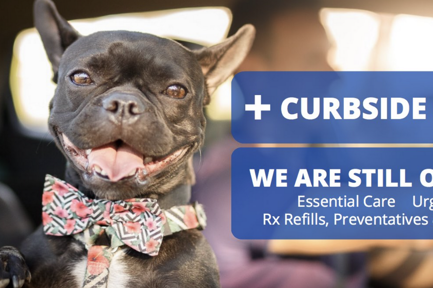 Oakhurst Veterinary Hospital