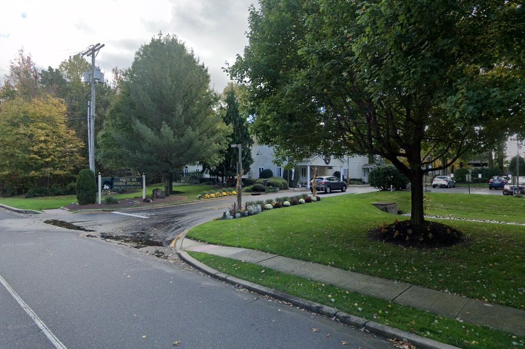 Route 516 Animal Hospital