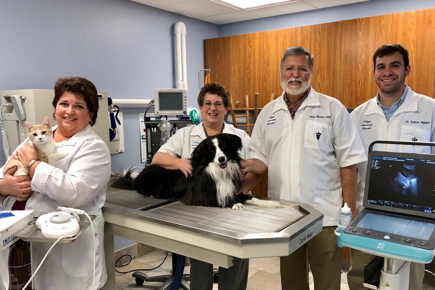 Village Veterinary Hospital