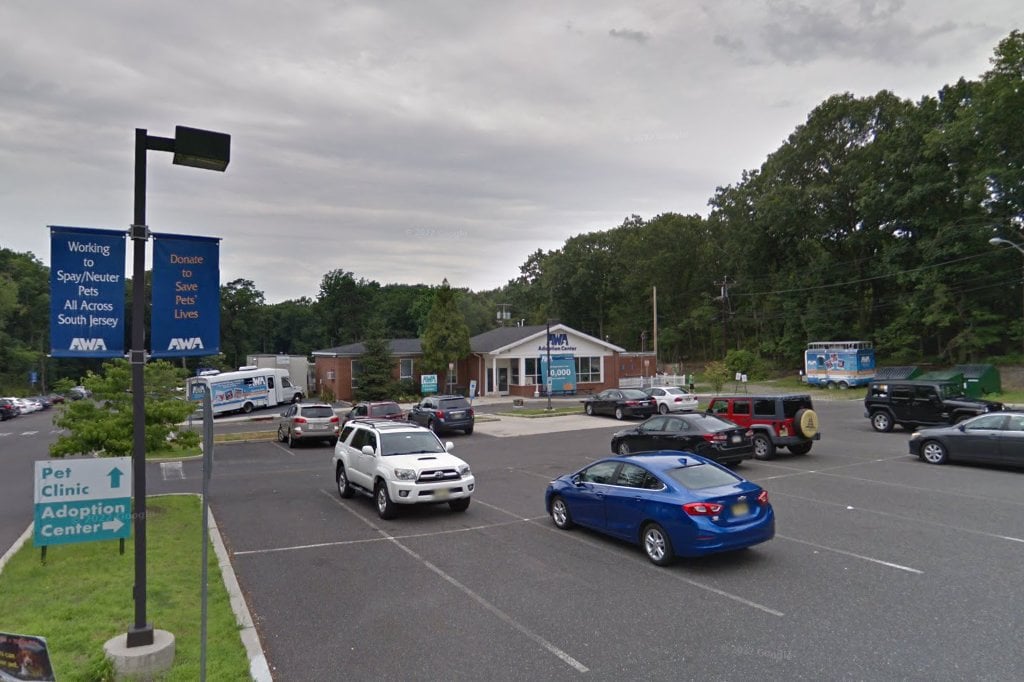 Animal Welfare Association