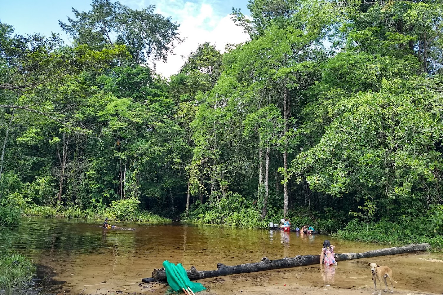 Animal Outreach of Cape May County, Inc.