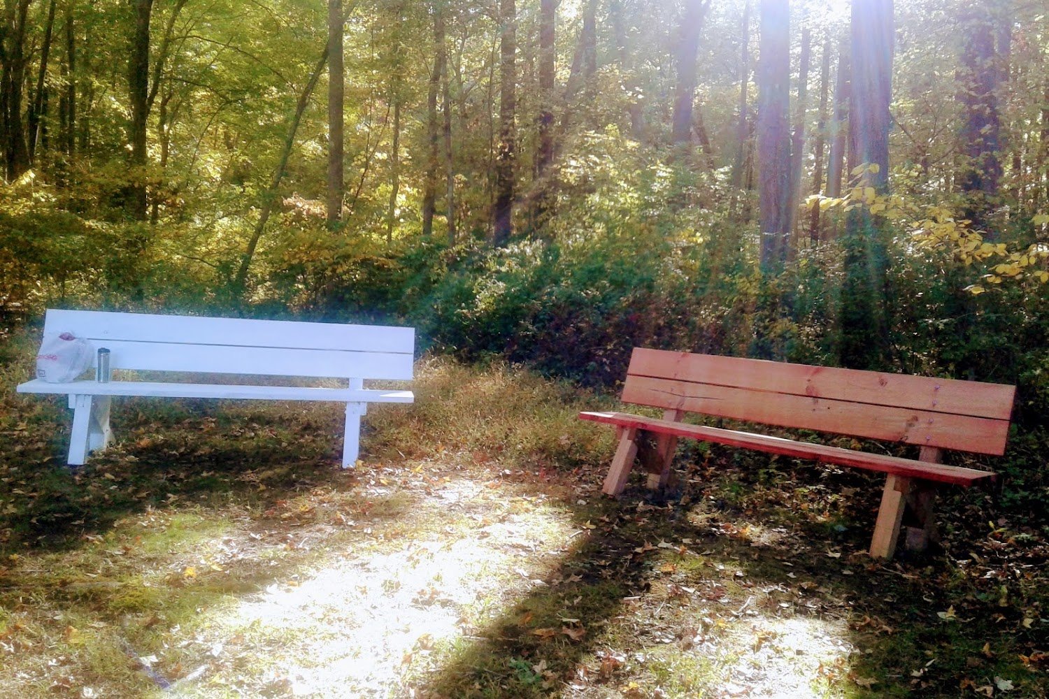 All 4 the Dogs Rescue