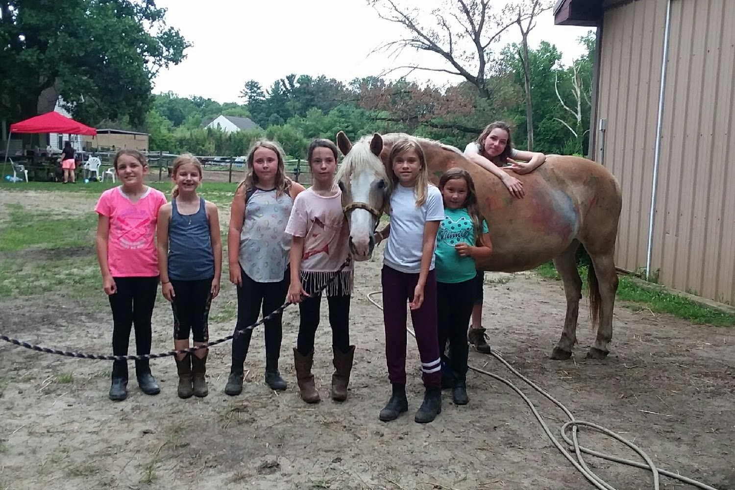 Sovereign Hill Stablessheets