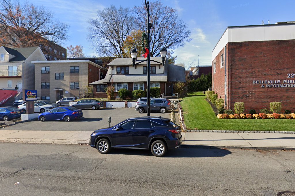 Amity Animal Hospital