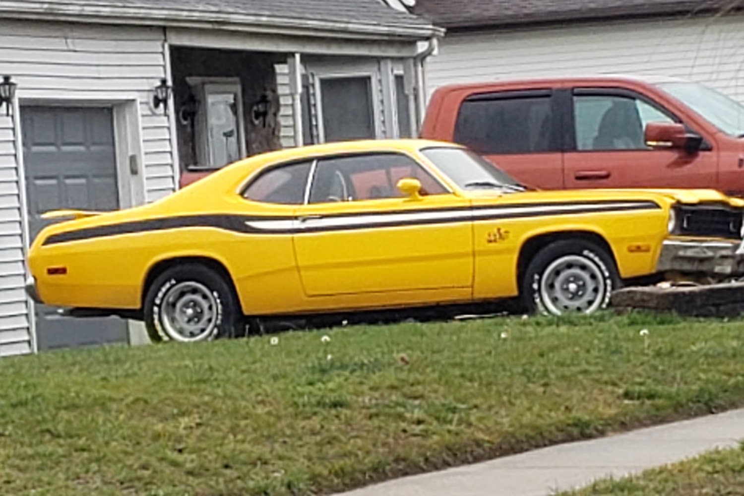 Finally Home Farm Animal Rescue