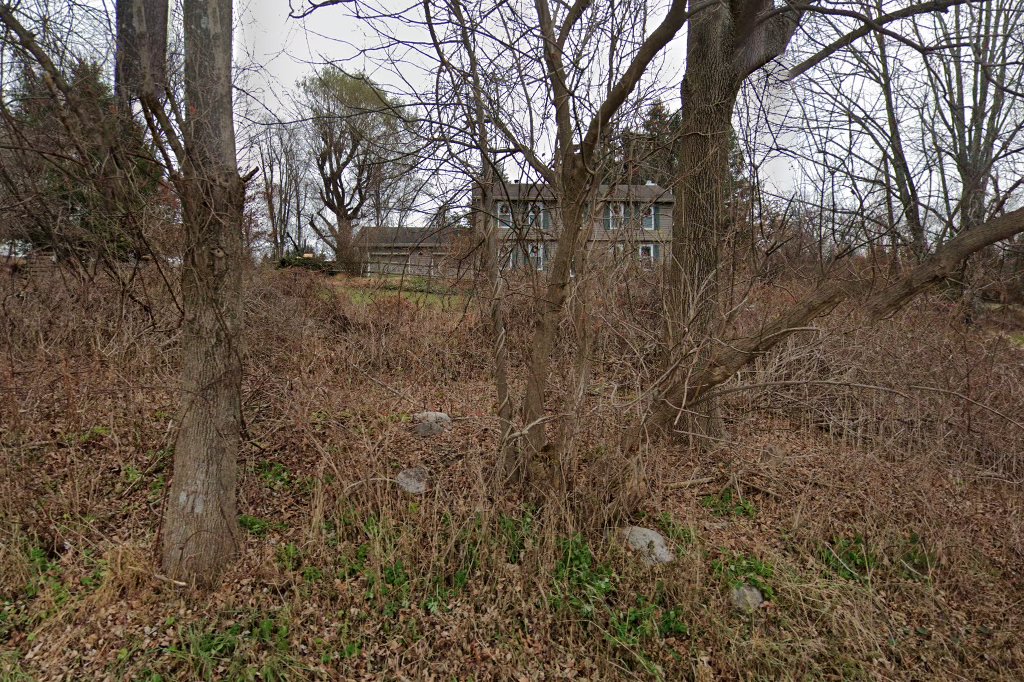 Almost Home Dachshund Rescue Society