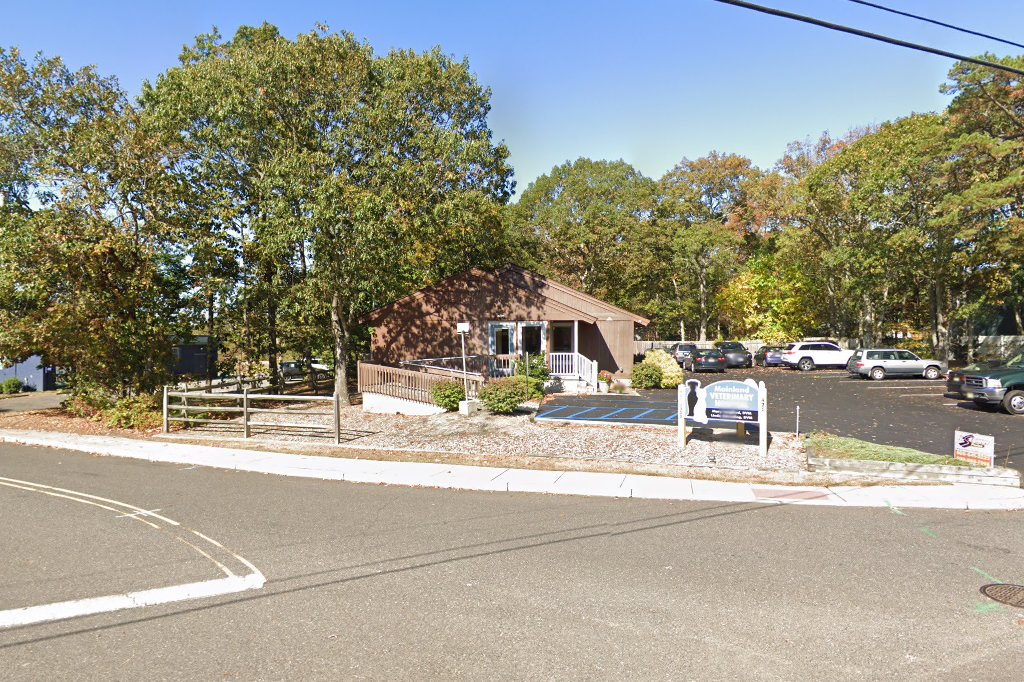 Mainland Veterinary Hospital