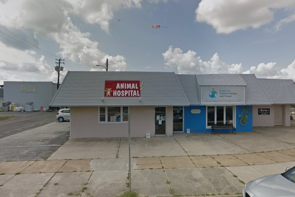 Brigantine Animal Hospital