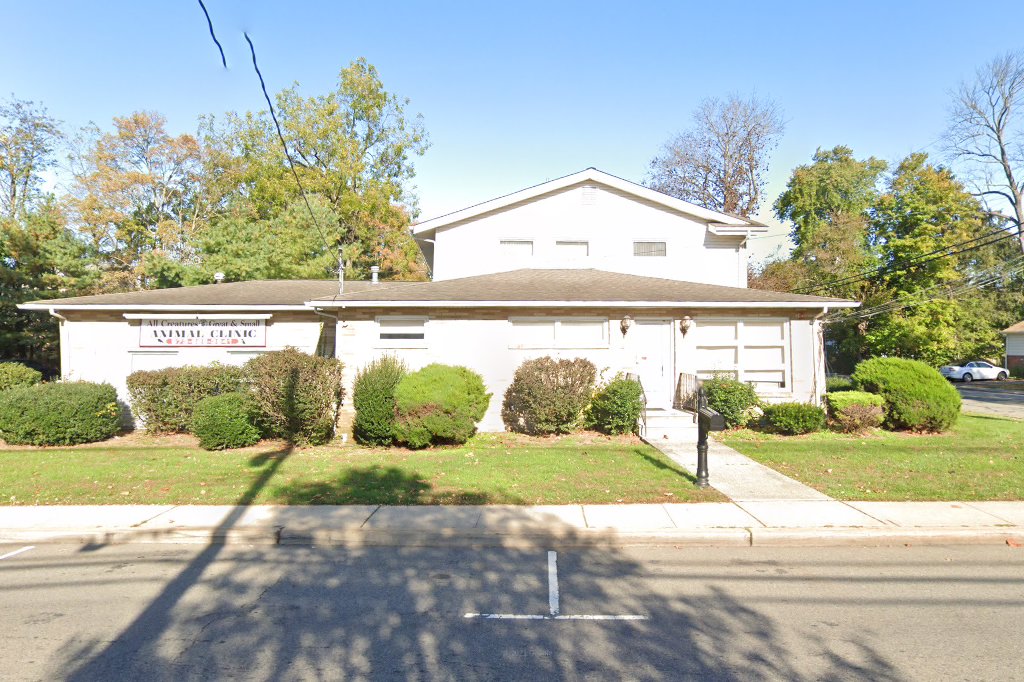 All Creatures Great and Small Animal Clinic