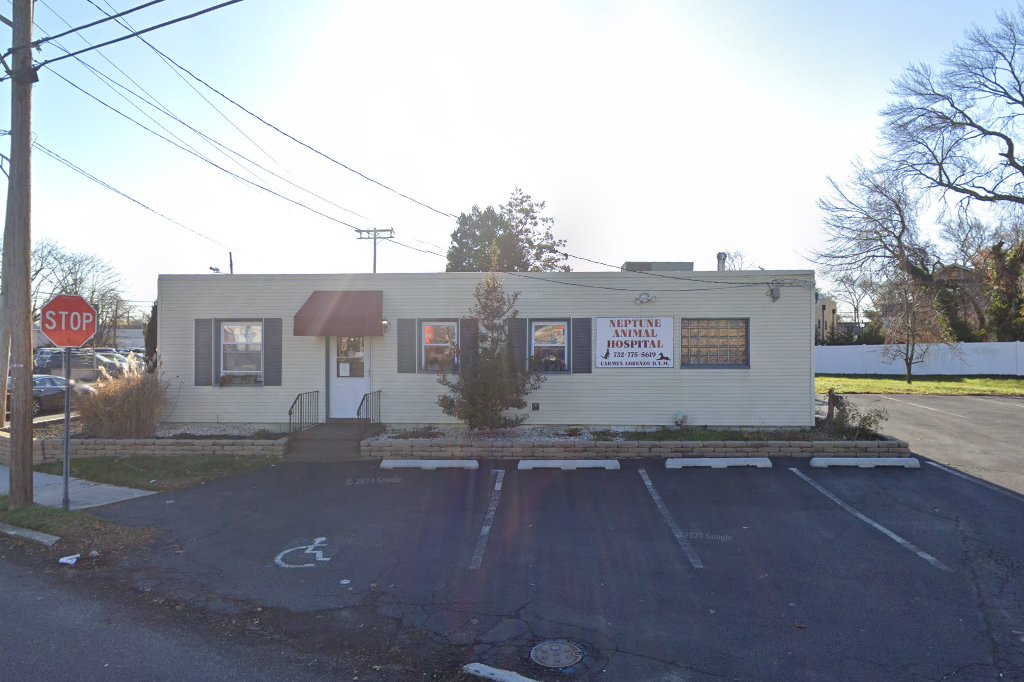 Neptune Animal Hospital