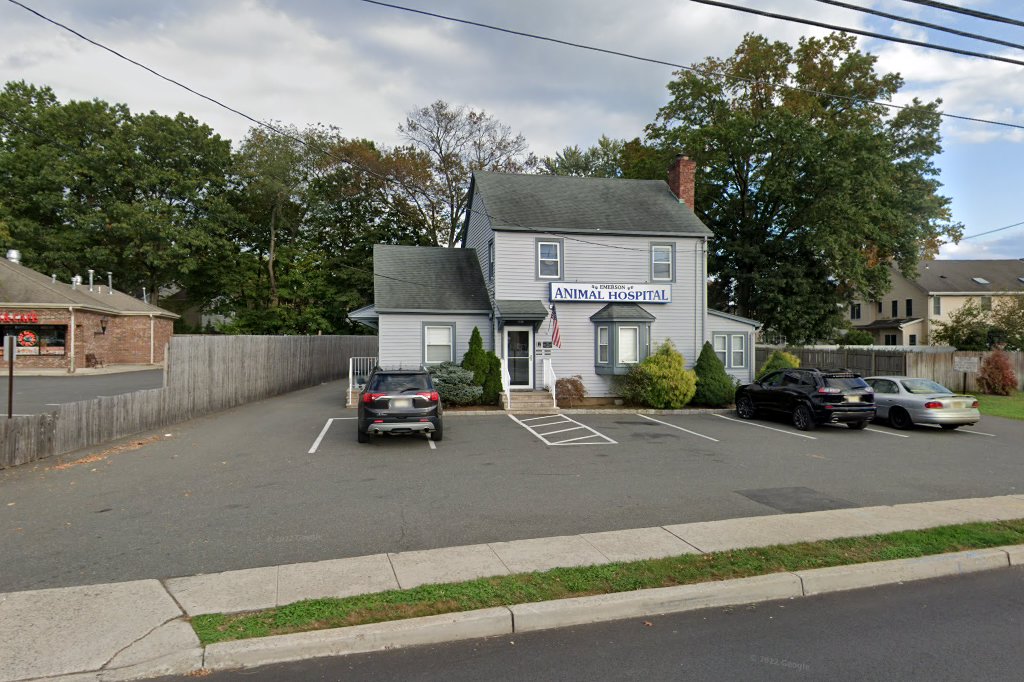 Emerson Animal Hospital