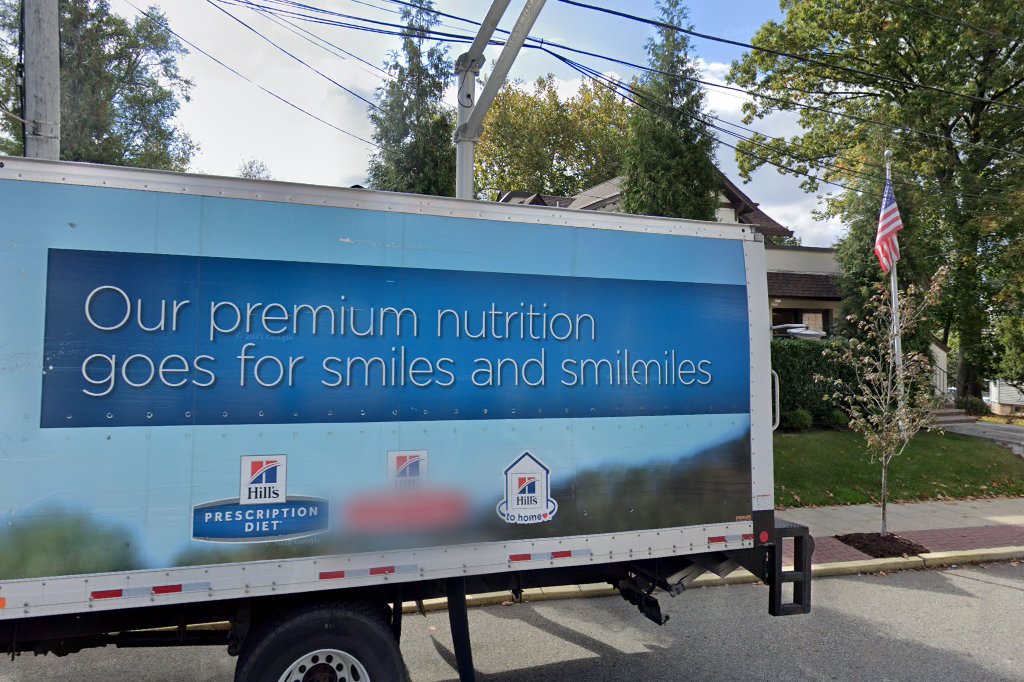 Marsh Hospital For Animals