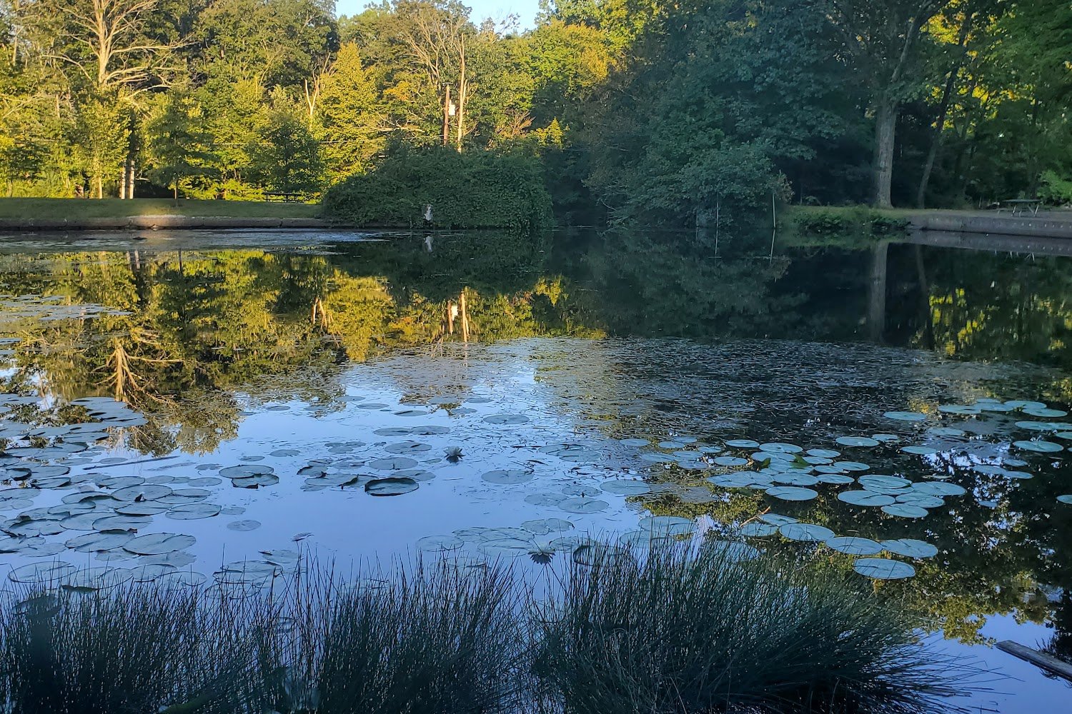 West Milford Animal Shelter