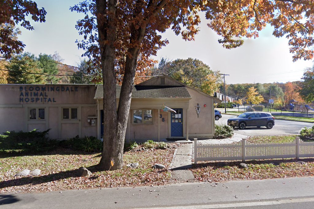 Bloomingdale Animal Hospital