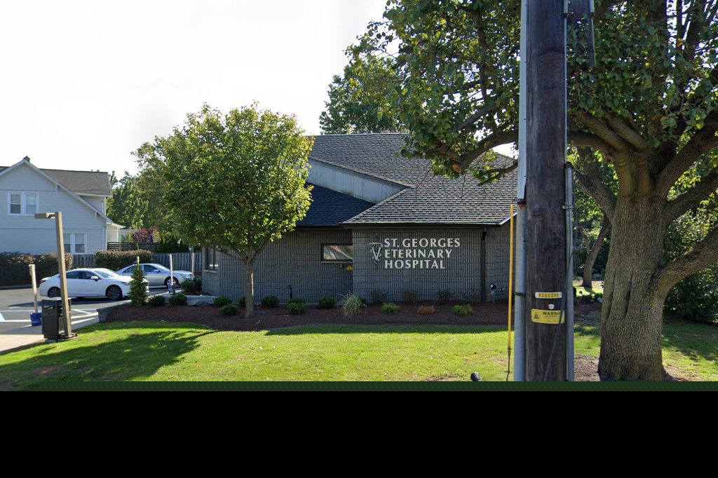 St Georges Veterinary Hospital