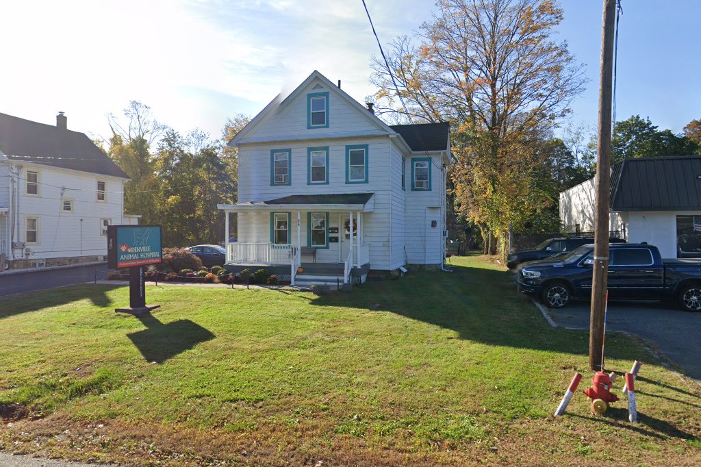 Denville Animal Hospital