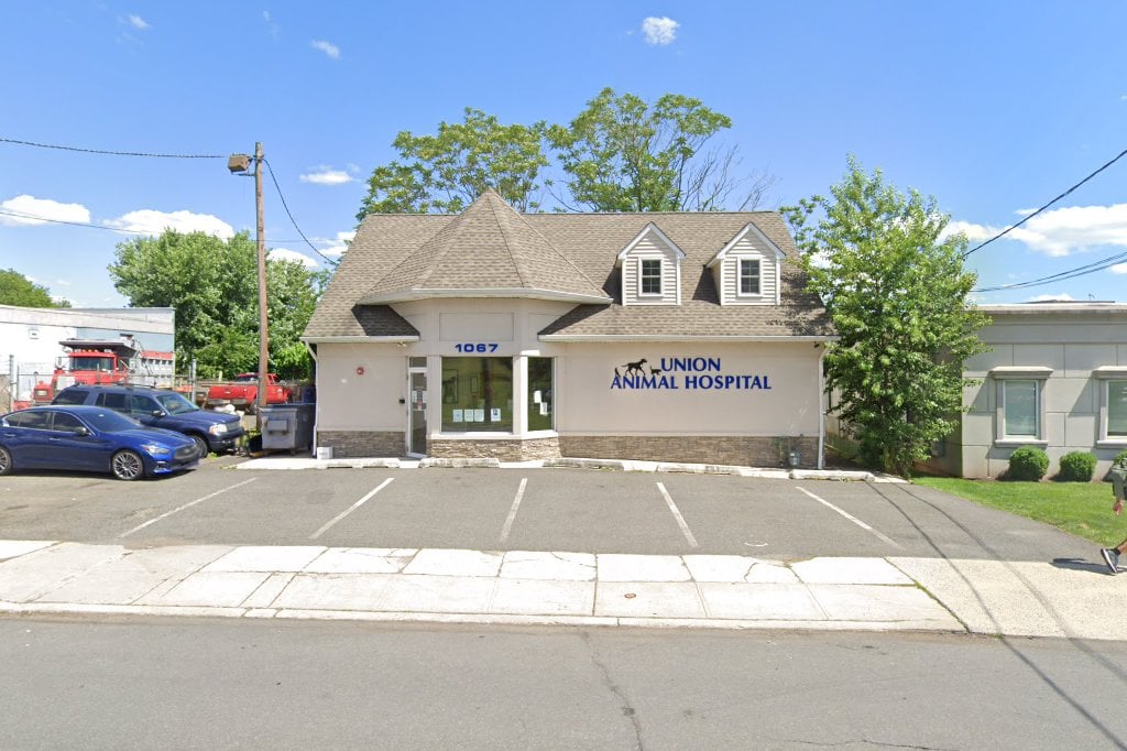 Union Animal Hospital