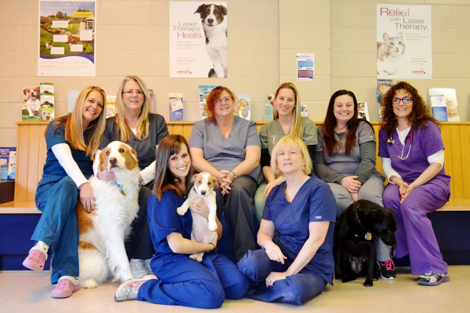 Laurelton Veterinary Hospital