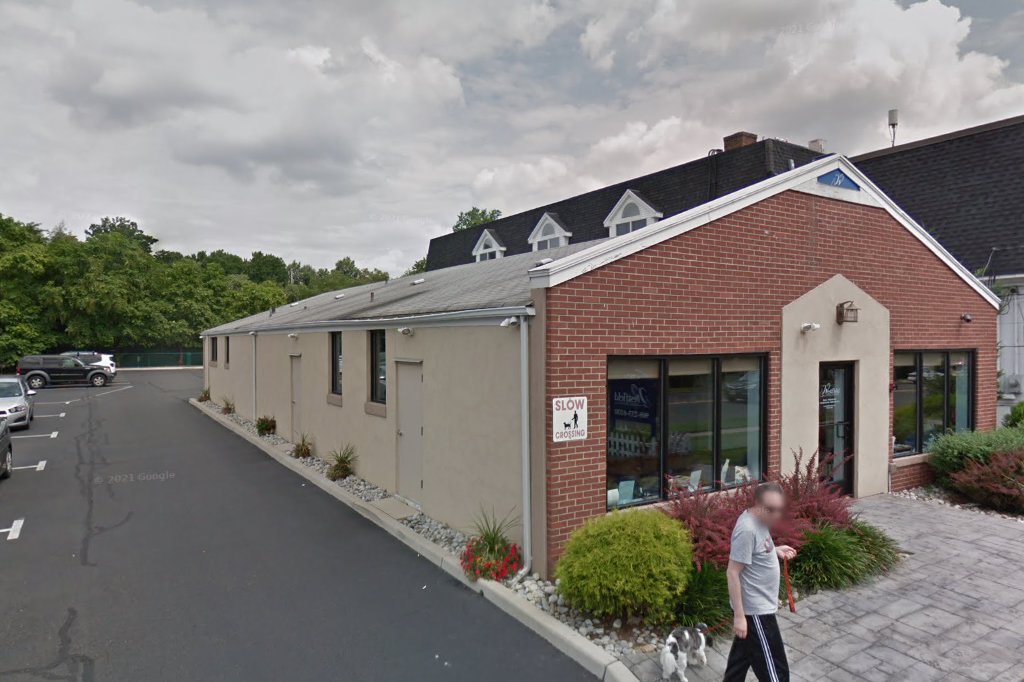 Westfield Animal Hospital