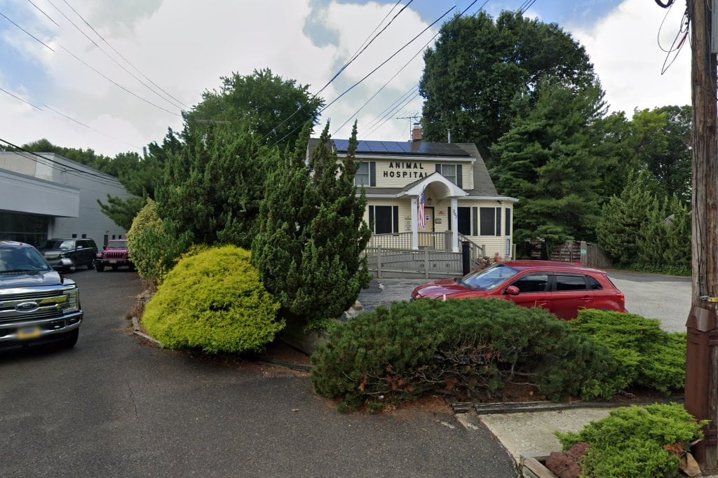 Gray Fox Animal Hospital