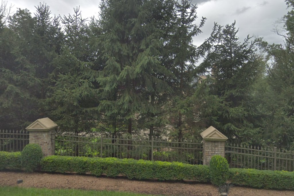 The National Foundation for Animal Rescue