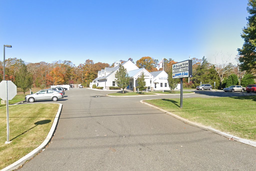 Ocean View Veterinary Hospital