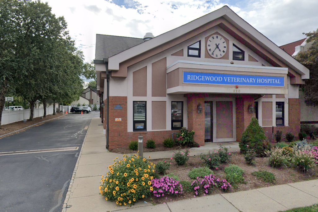 Bird Care Medical & Surgical Hospital