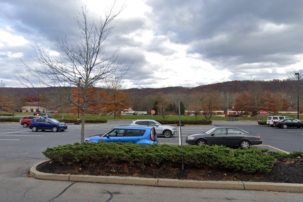 New Beginnings Cat Rescue