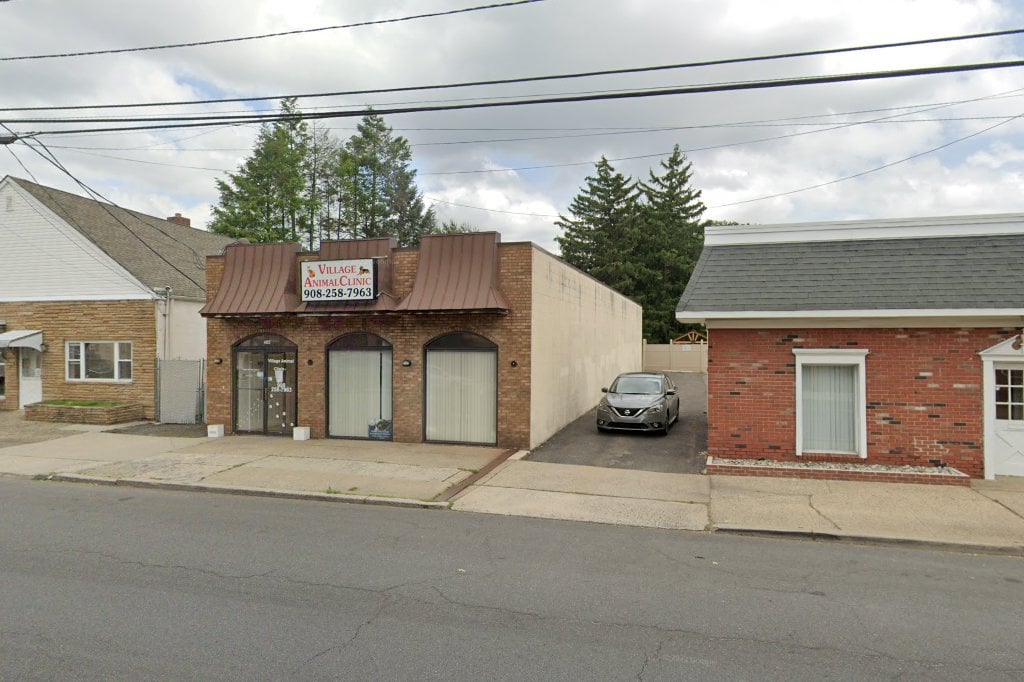 Village Animal Clinic, LLC