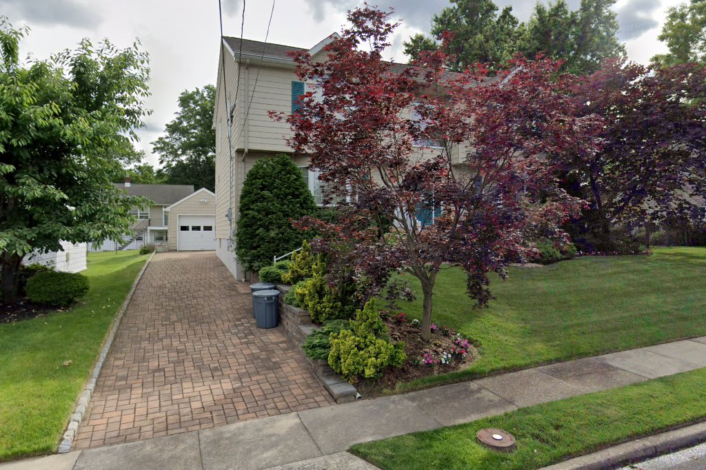 Noah's Ark Animal Rescue & Placement