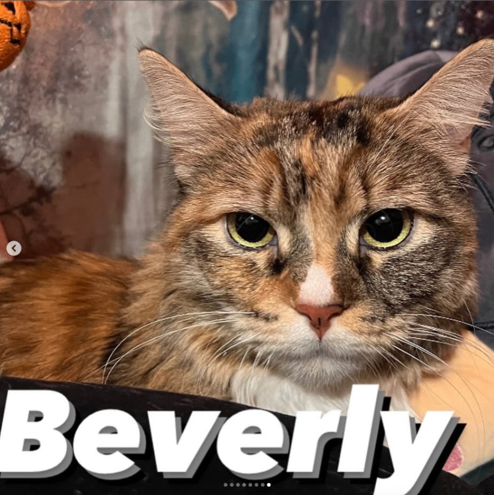 Beverly