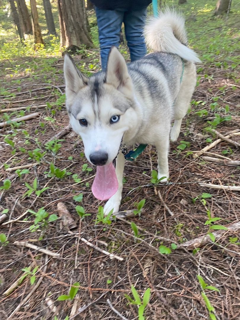 **COURTESY LISTING** Snow