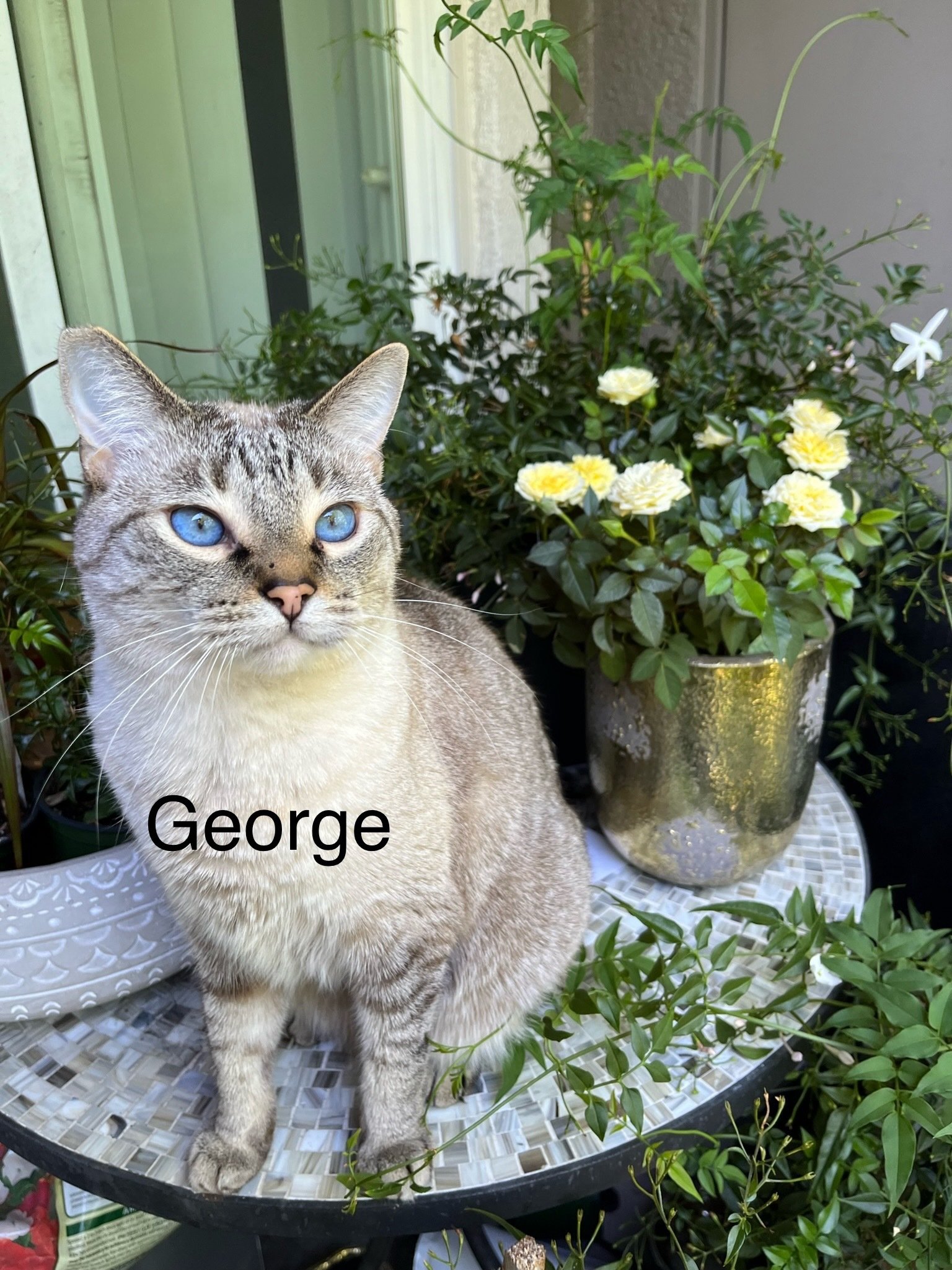 George