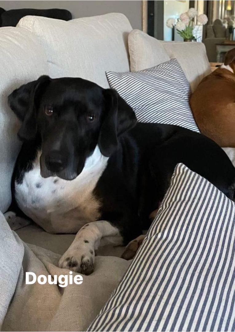 Dougie