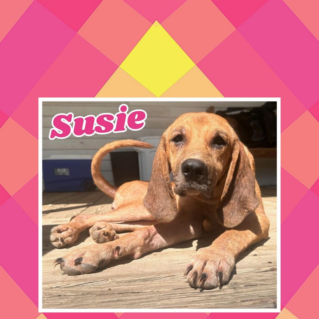 Susie