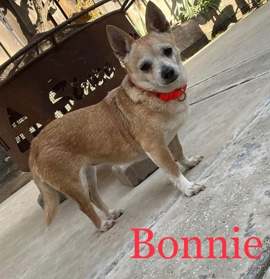 Bonnie