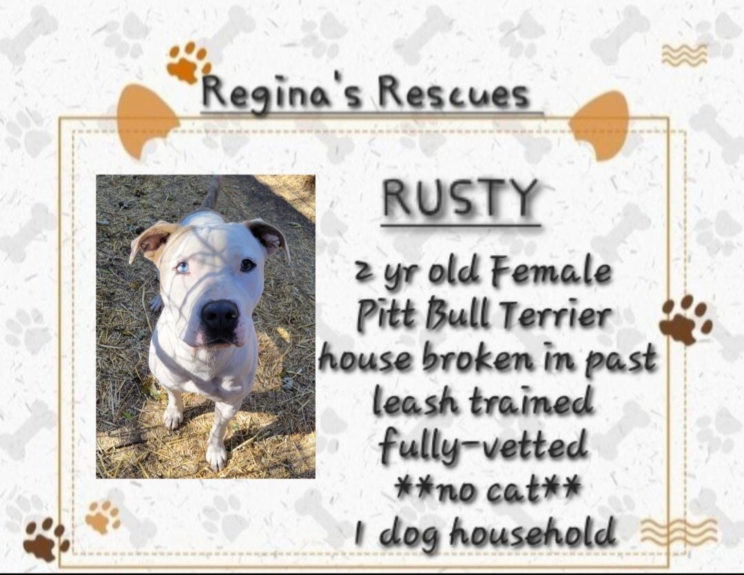 Rusty ~ female