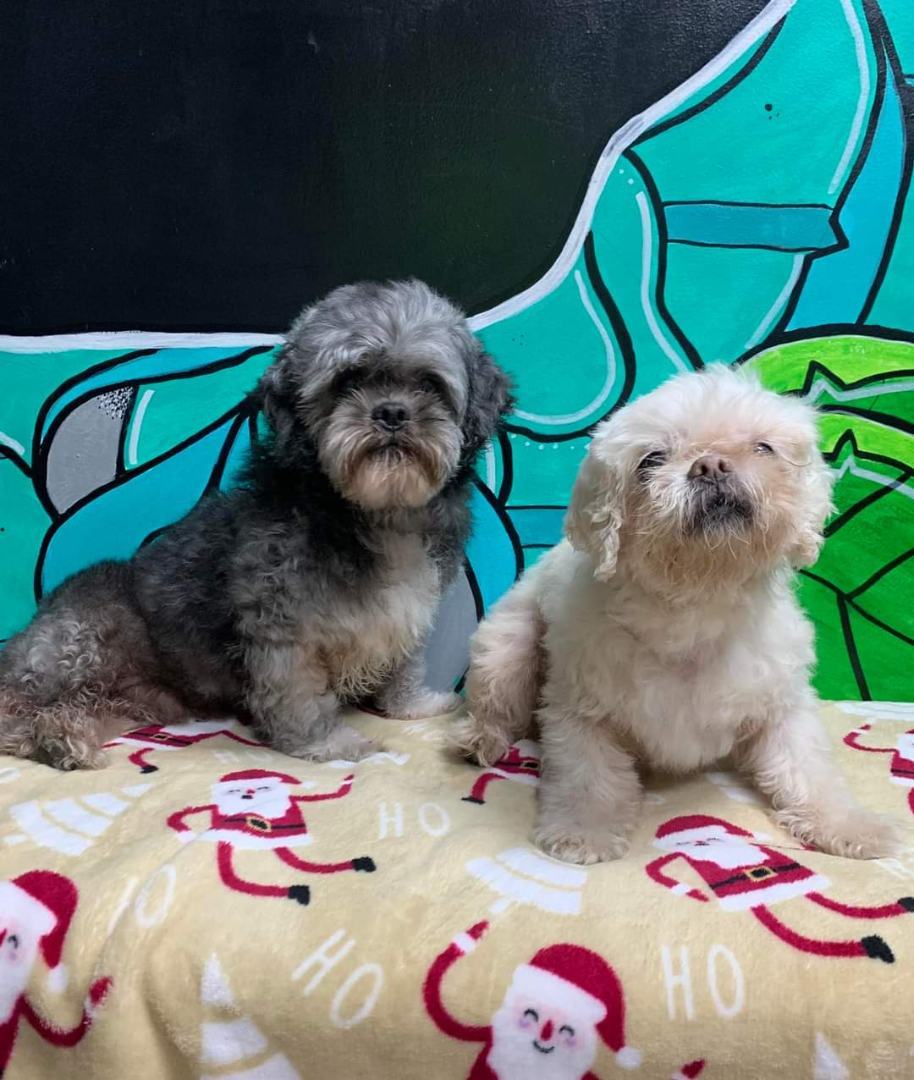 Hanky Panky BONDED with Whitney