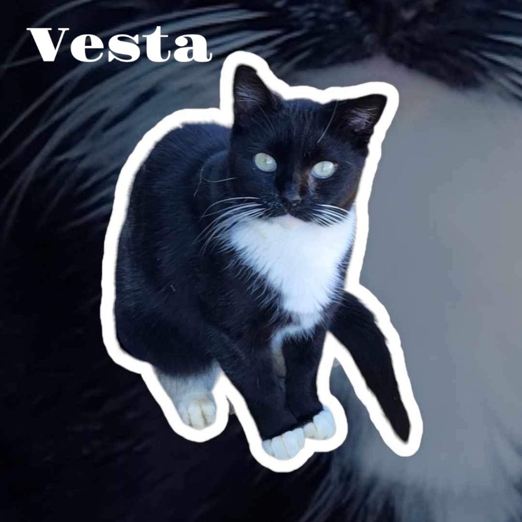 Vesta