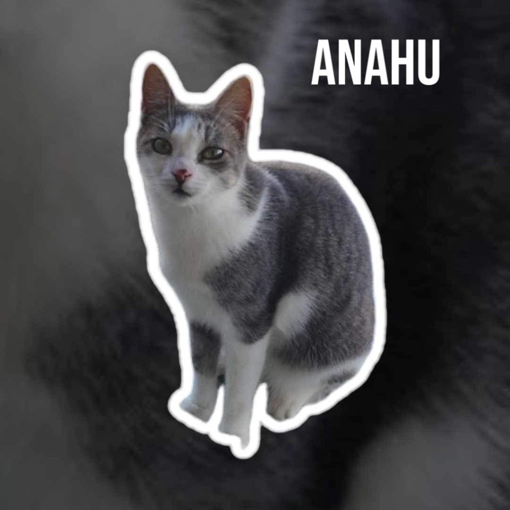 Anahu