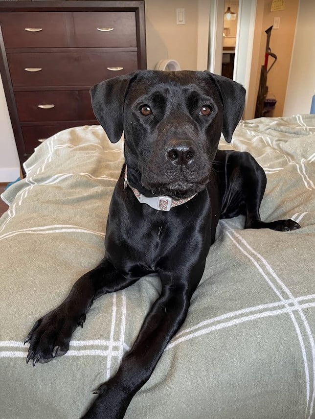 Willow **Courtesy Listing - please contact owner direct**