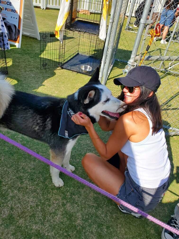 Kodak Cody Hugs & Nuzzles