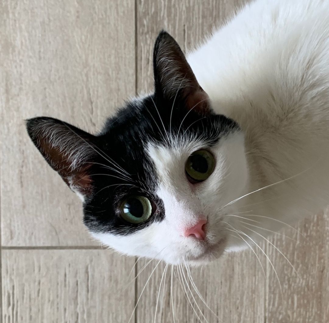 Zadie - Lovable Girl!