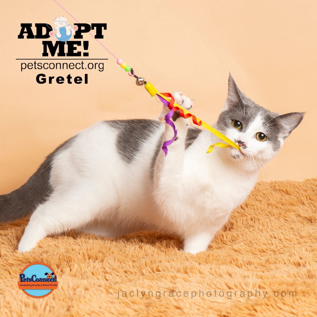 Glitzy Graceful Gretel 