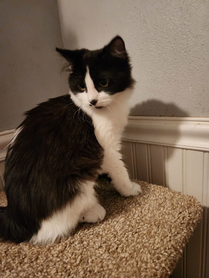 Destiny (AKA: Starbucks)