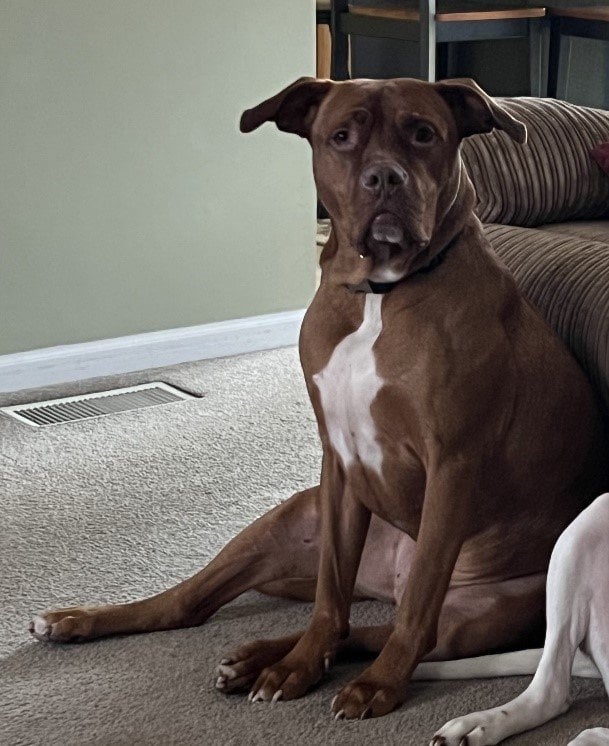 COURTESY POST - Thor