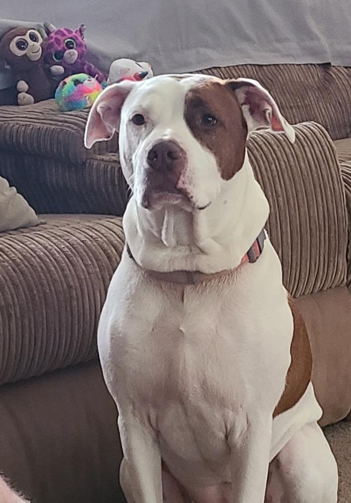 COURTESY POST - Paisley