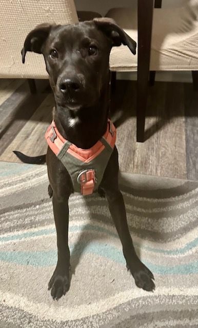 Autumn -- Courtesy Post