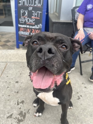 IGOR (formally Thanos)